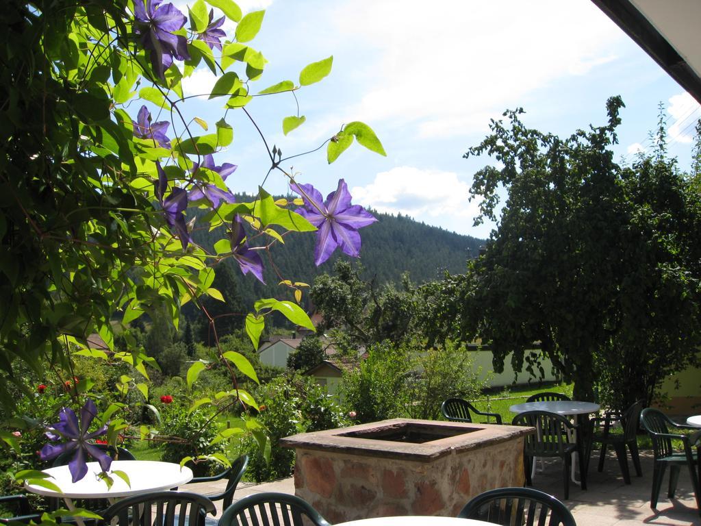 Hotel Schwarzwaldschaefer เอนซ์เคลิสแทร์เลอ ภายนอก รูปภาพ
